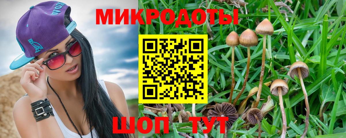 купить наркоту  Псилоцибиновые грибы мицелий  Вход с VPN  Заречный 